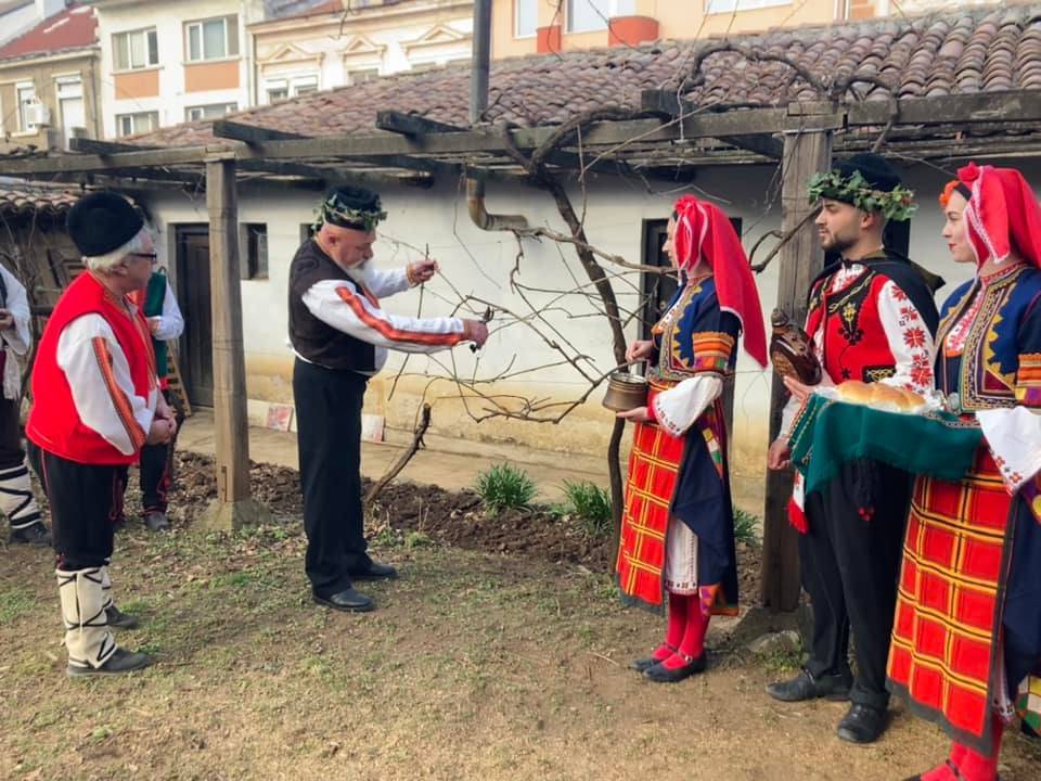  Зарязване на лозите във Враца 